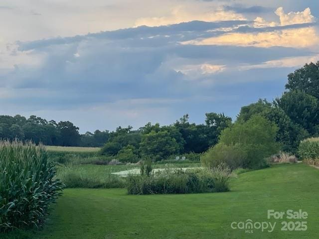 3513 Gilboa Rd, Marshville, NC 28103 - photo 30