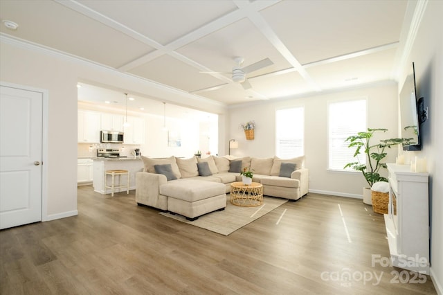 5027 American Bittern Ln, Charlotte, NC 28214 - photo 6