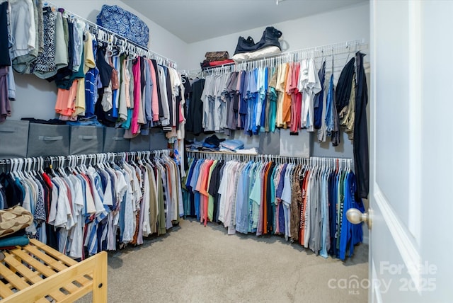 5027 American Bittern Ln, Charlotte, NC 28214 - photo 20