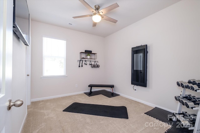 5027 American Bittern Ln, Charlotte, NC 28214 - photo 24
