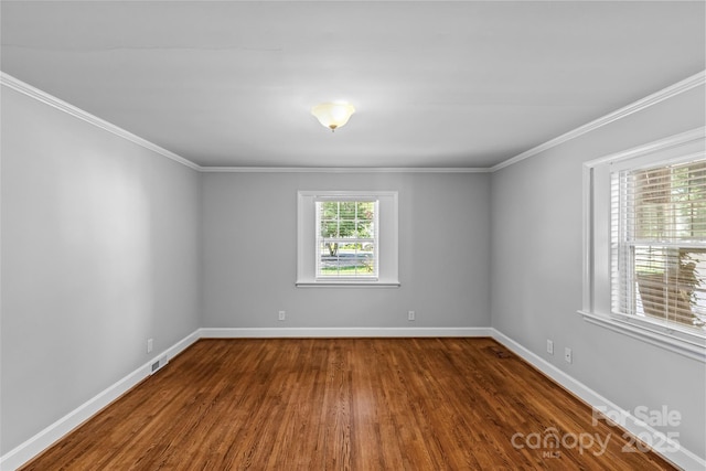 2417 Laburnum Ave, Charlotte, NC 28205 - photo 10