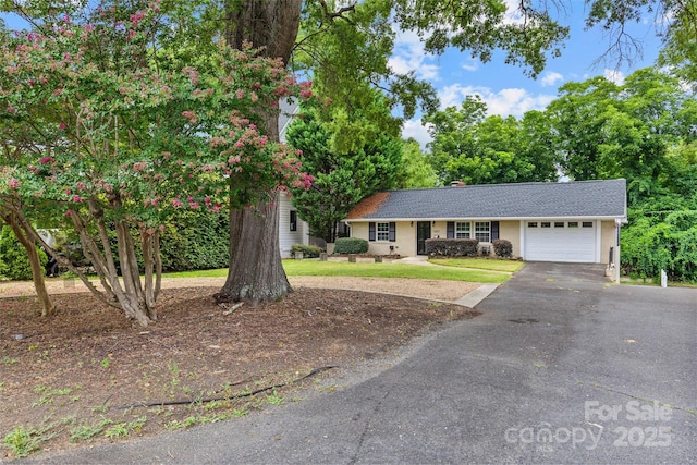 2417 Laburnum Ave, Charlotte, NC 28205 - photo 4