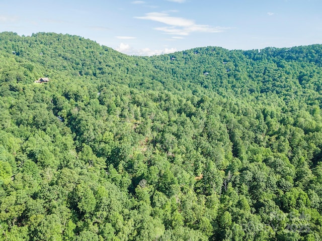 TBD Mckenzie Way N, Old Fort, NC 28762 - photo 35
