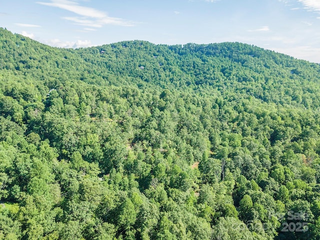 TBD Mckenzie Way N, Old Fort, NC 28762 - photo 36