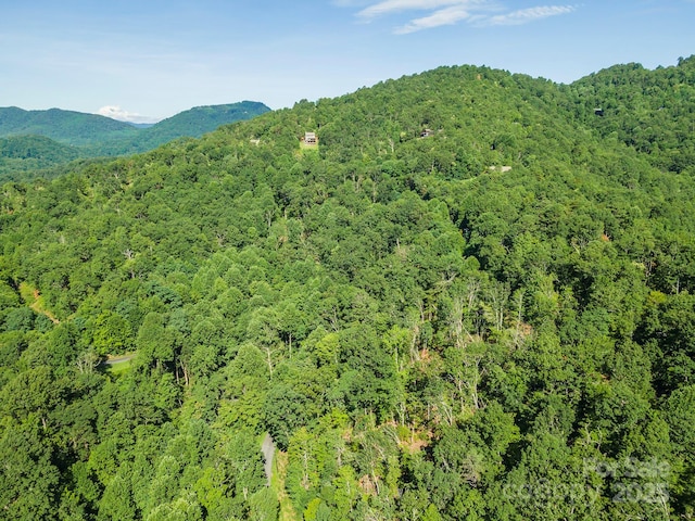 TBD Mckenzie Way N, Old Fort, NC 28762 - photo 37
