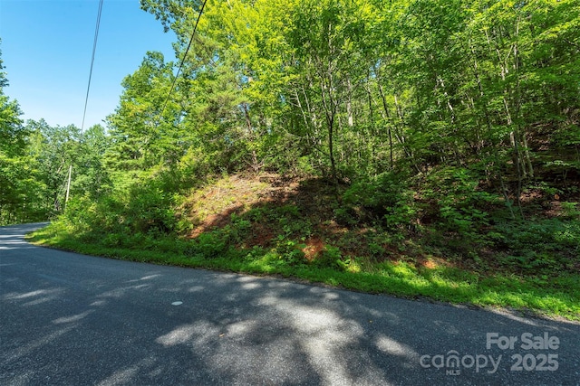 TBD Mckenzie Way N, Old Fort, NC 28762 - photo 38
