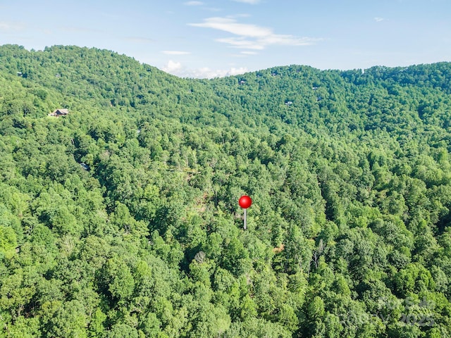 TBD Mckenzie Way N, Old Fort, NC 28762 - photo 39