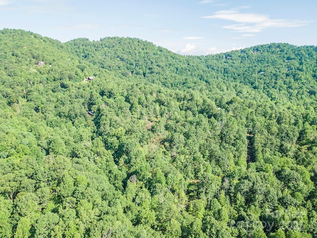 TBD Mckenzie Way N, Old Fort, NC 28762 - photo 40
