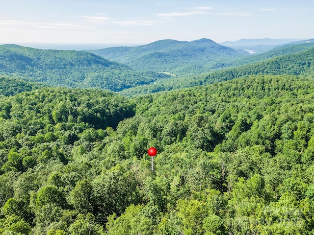 TBD Mckenzie Way N, Old Fort, NC 28762 - photo 41