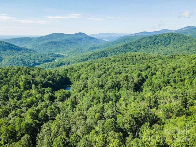 TBD Mckenzie Way N, Old Fort, NC 28762 - photo 5