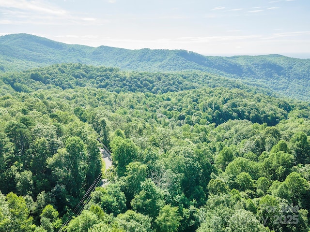 TBD Mckenzie Way N, Old Fort, NC 28762 - photo 4
