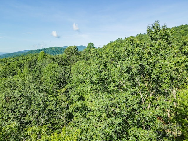TBD Mckenzie Way N, Old Fort, NC 28762 - photo 43