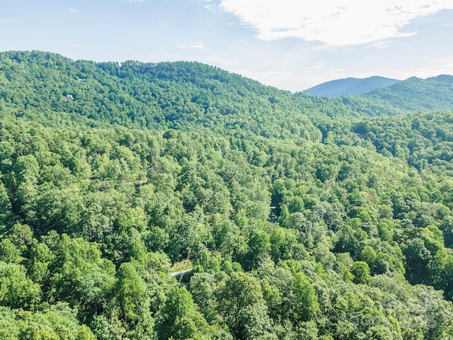 TBD Mckenzie Way N, Old Fort, NC 28762 - photo 44