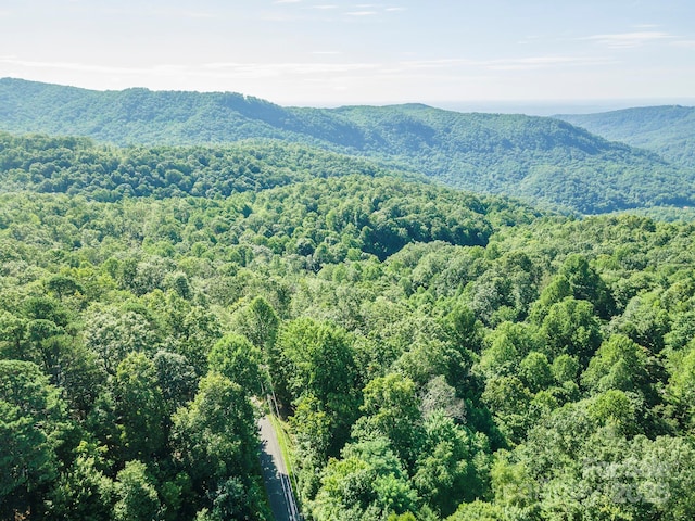 TBD Mckenzie Way N, Old Fort, NC 28762 - photo 45