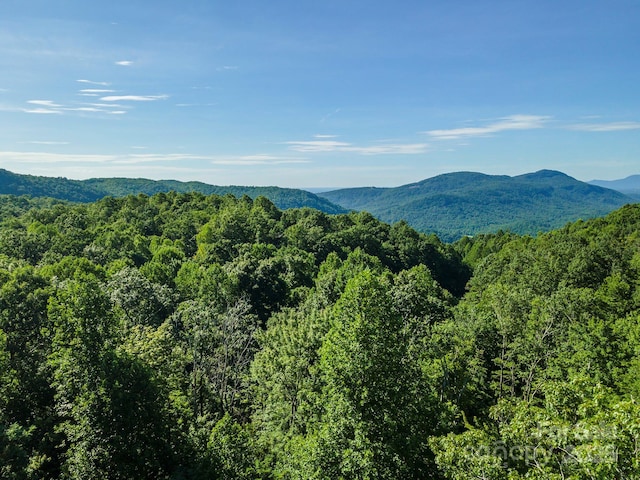 TBD Mckenzie Way N, Old Fort, NC 28762 - photo 46