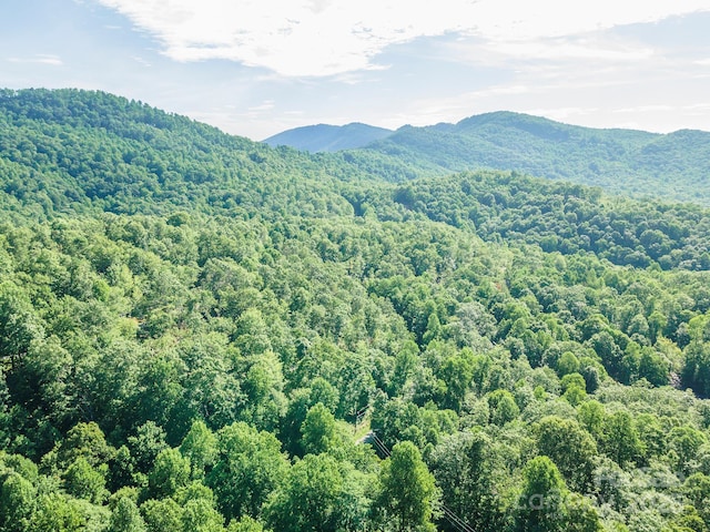 TBD Mckenzie Way N, Old Fort, NC 28762 - photo 47