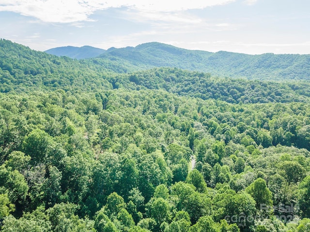TBD Mckenzie Way N, Old Fort, NC 28762 - photo 48