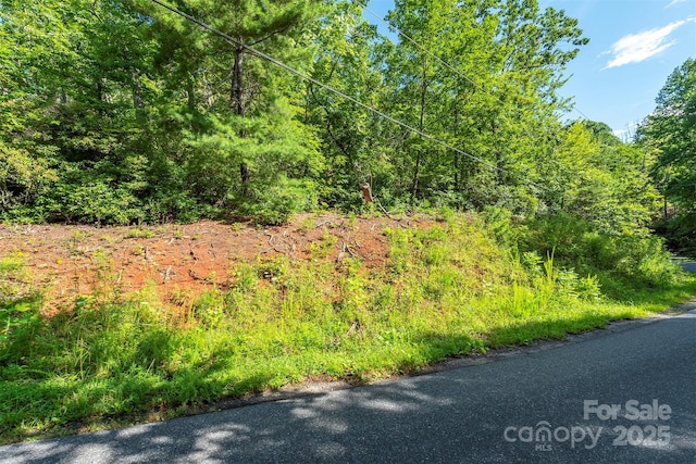 TBD Mckenzie Way N, Old Fort, NC 28762 - photo 2