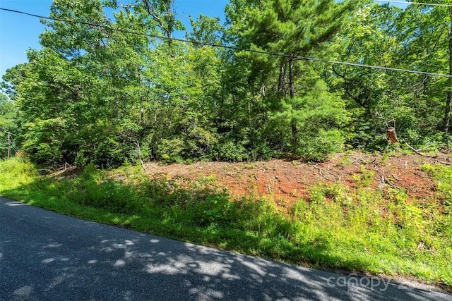 TBD Mckenzie Way N, Old Fort, NC 28762 - photo 6