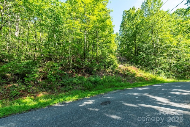 TBD Mckenzie Way N, Old Fort, NC 28762 - photo 7