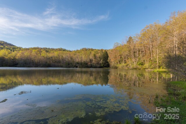 TBD Mckenzie Way N, Old Fort, NC 28762 - photo 13