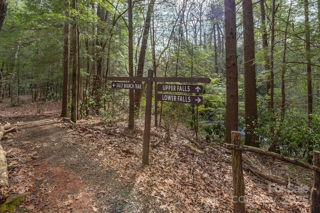 TBD Mckenzie Way N, Old Fort, NC 28762 - photo 24