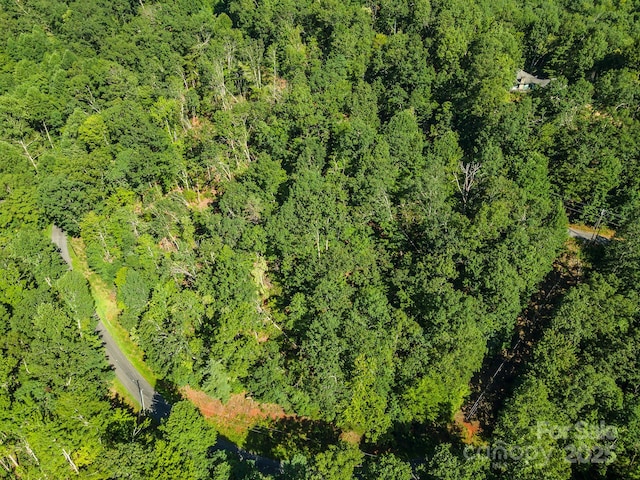 TBD Mckenzie Way N, Old Fort, NC 28762 - photo 26