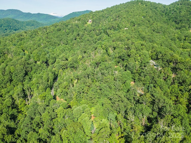 TBD Mckenzie Way N, Old Fort, NC 28762 - photo 27