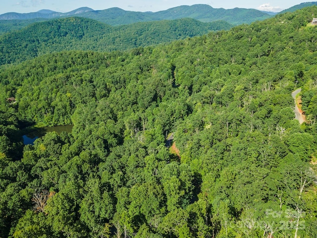 TBD Mckenzie Way N, Old Fort, NC 28762 - photo 29