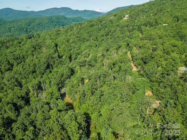 TBD Mckenzie Way N, Old Fort, NC 28762 - photo 31