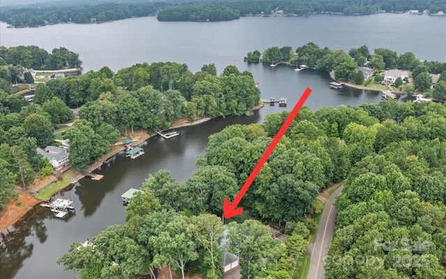 502 Lakeview Shores Loop, Mooresville, NC 28117 - photo 3