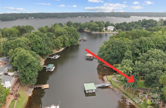 502 Lakeview Shores Loop, Mooresville, NC 28117 - photo 47