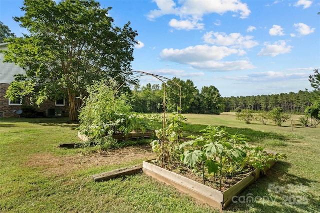 2520 Wooten Rd, Chester, SC 29706 - photo 33