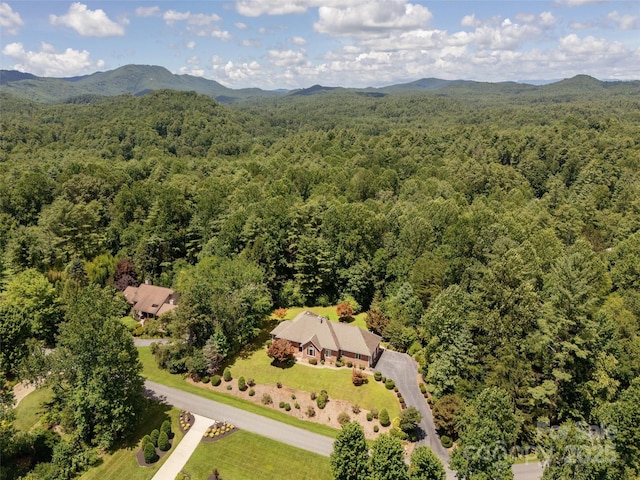 15 Oak Gate Dr, Hendersonville, NC 28739 - photo 29