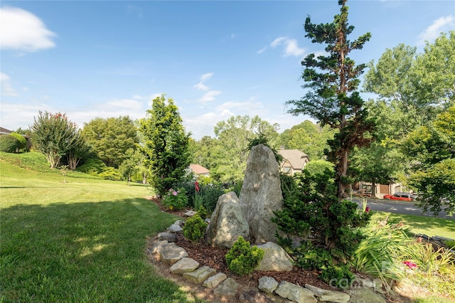 32 Pine Acre Blvd, Asheville, NC 28804 - photo 21