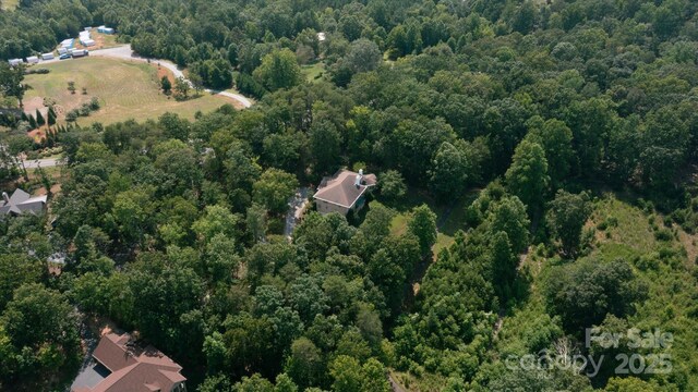 25 Towhee Trl, Tryon, NC 28782 - photo 30