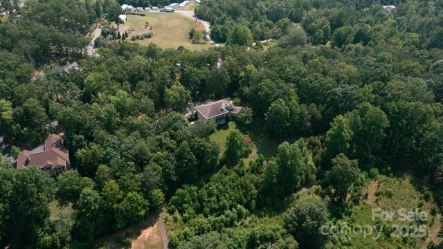 25 Towhee Trl, Tryon, NC 28782 - photo 31