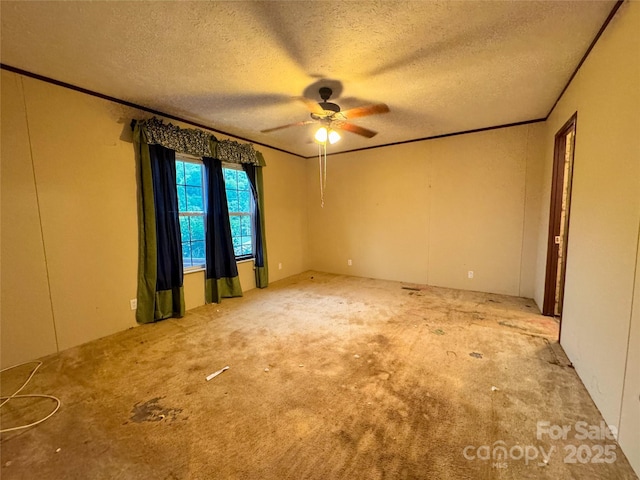6 Dirt Rd, Sylva, NC 28779 - photo 12