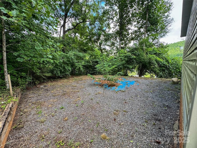 6 Dirt Rd, Sylva, NC 28779 - photo 15