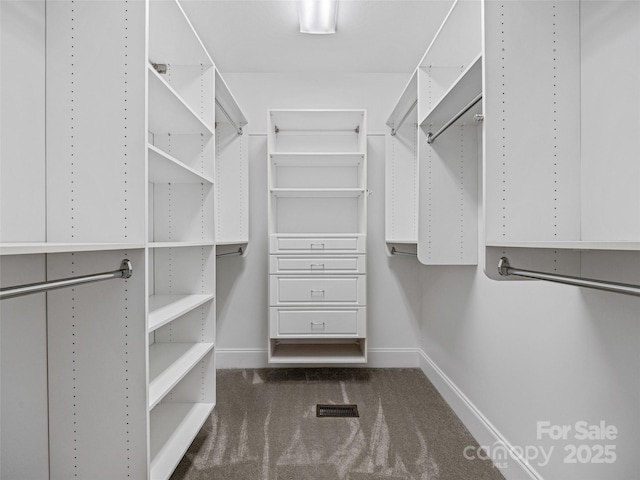 9 Foggy Glen Dr, Arden, NC 28704 - photo 29