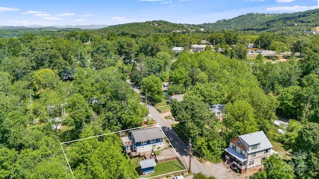 54 Vine St, Asheville, NC 28804 - photo 40