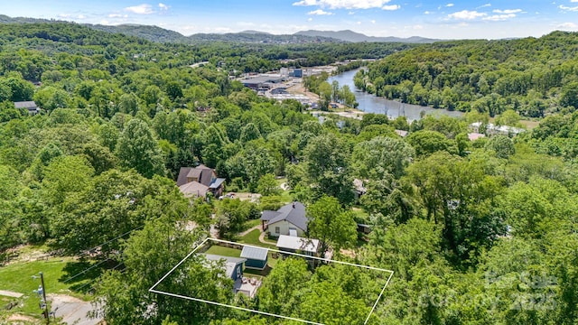 54 Vine St, Asheville, NC 28804 - photo 43