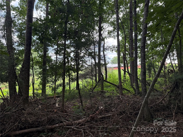 3994 Seitz Rd, Morganton, NC 28655 - photo 8