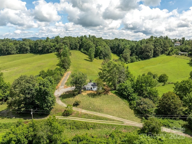 124 Palmer Ford Rd, Weaverville, NC 28787 - photo 5