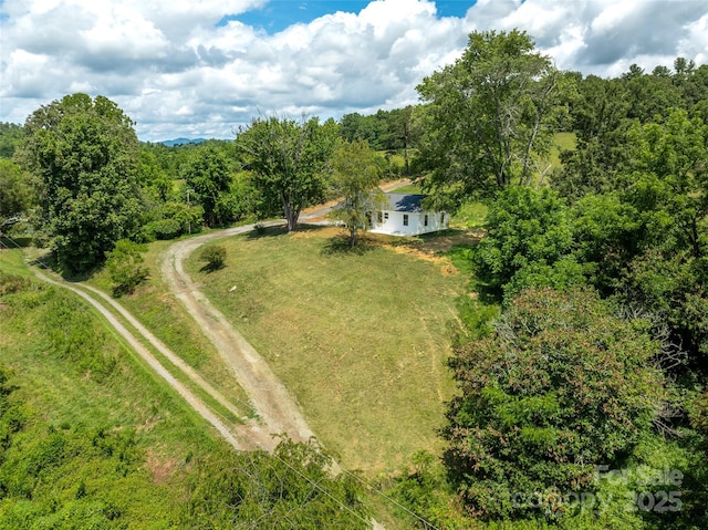 124 Palmer Ford Rd, Weaverville, NC 28787 - photo 28