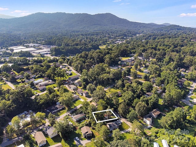1040 W Chapel Rd, Asheville, NC 28803 - photo 3