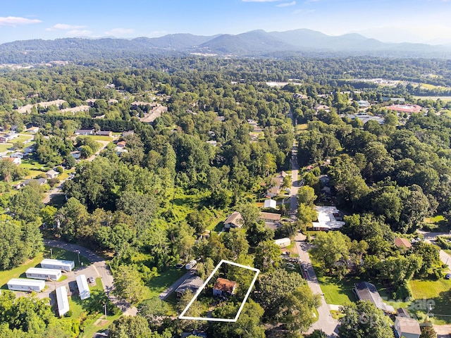 1040 W Chapel Rd, Asheville, NC 28803 - photo 5