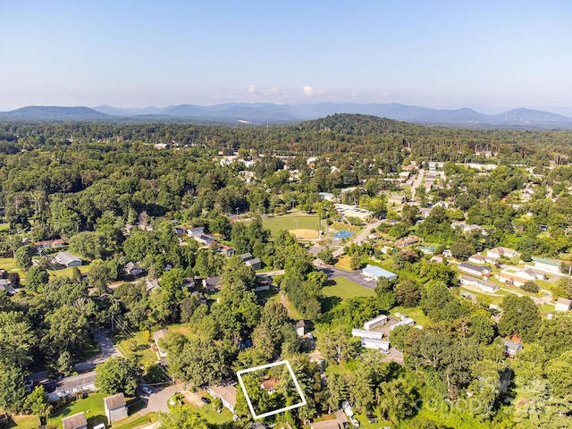 1040 W Chapel Rd, Asheville, NC 28803 - photo 6