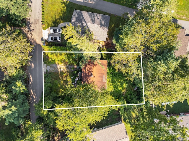 1040 W Chapel Rd, Asheville, NC 28803 - photo 7