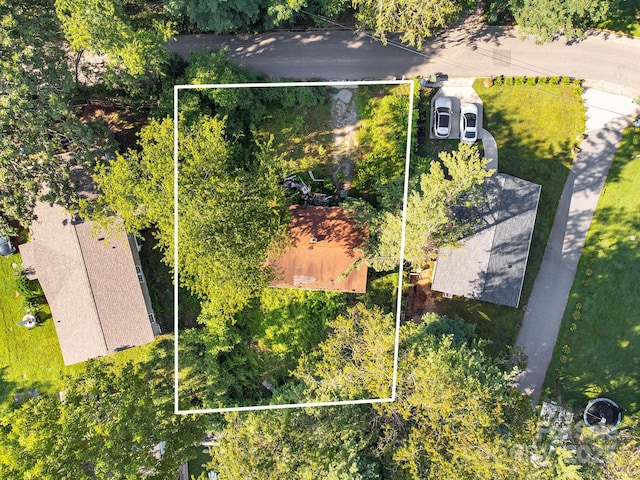 1040 W Chapel Rd, Asheville, NC 28803 - photo 8